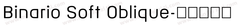 Binario Soft Oblique字体转换